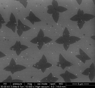 scanning electron microscope image of graphene seeds on copper foil scanning electron microscope image of graphene seeds on copper foil